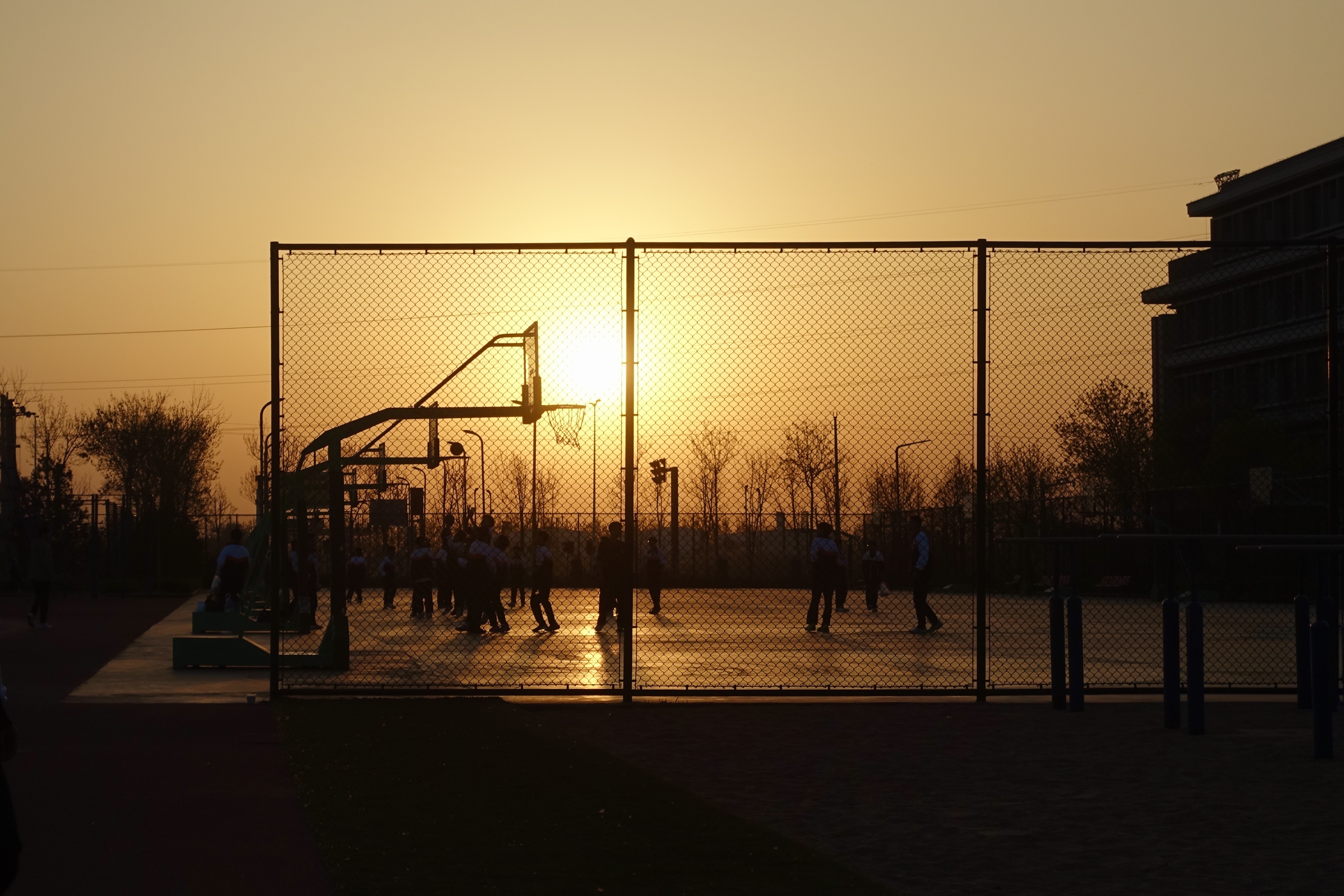 《夕照篮途》